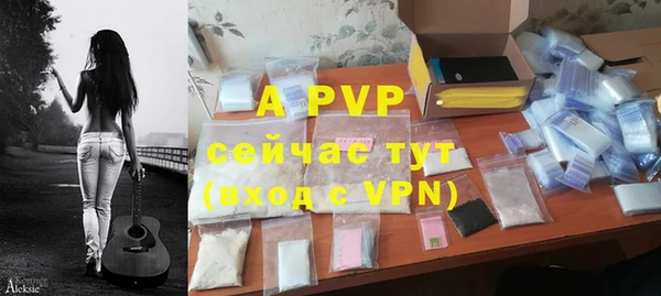 гидра Алексеевка