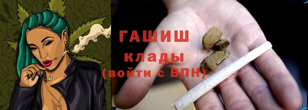 прущие грибы Алзамай