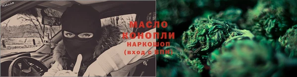 прущие грибы Алзамай