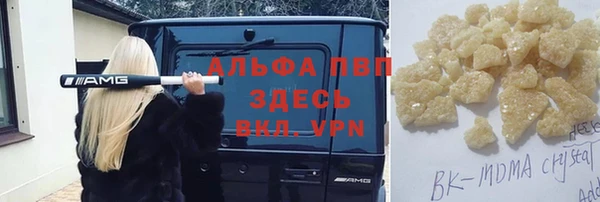 прущие грибы Алзамай