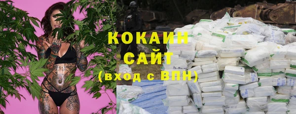 прущие грибы Алзамай