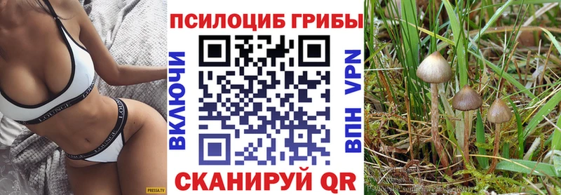 где продают   кракен ТОР  Псилоцибиновые грибы мицелий  Ишим 